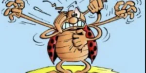 BD : contre l'IA-faussaire, le salut par la coccinelle ?