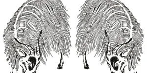 Le salon des éditions livresques et musicales LA CHÈVRE revient les 24, 25 et 26 avril !