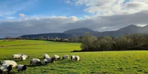 Dans le Pays basque, un projet de construction contesté aux carrefours des urgences locales