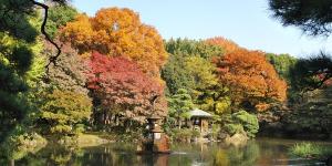 Japan’s 72 Microseasons