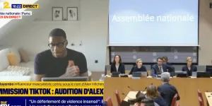 "Laissez-moi finir !" : Alex Hitchens s’énerve et quitte la commission TikTok sans l’autorisation des députés