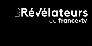 Vérification d'images et de vidéos, enquêtes Osint... En quoi consiste le travail du service des Révélateurs de France Télévisions ?