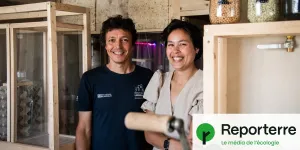 Grillons et tour à champignons : ils vivent en autonomie dans un studio parisien