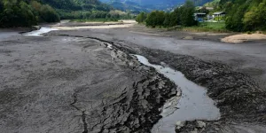 Dominique Bourg : "Être de droite aujourd’hui signifie nier les enjeux et la réalité écologiques"