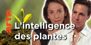 Les plantes sont-elles des animaux comme les autres ? | Les idées larges | ARTE