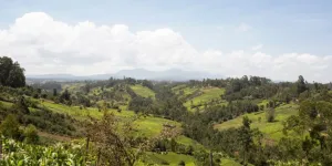 Agroecology Infopool | Biovision - Stiftung für ökologische Entwicklung