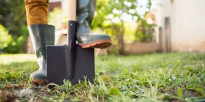 6 choses à faire au jardin pour préparer l’arrivée de l’automne