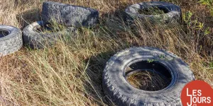 Le moustique tigre rugit dans les ruines du capitalisme