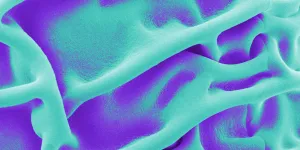 Material Form Function - Matters of Activity