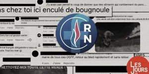 Racisme et appels au meurtre : 15 députés RN dans un groupe Facebook privé nauséabond