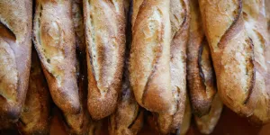 Farine allemande, blé français : la souveraineté dans le pétrin