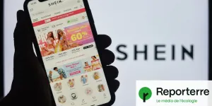 Shein, Temu… Le gouvernement veut sanctionner la mode jetable