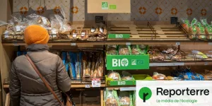 « On peut trouver du bio pas cher, mais c'est une galère »