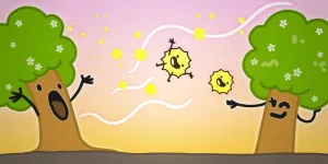 Pollen Is Not Plant Sperm (It’s MUCH Weirder)