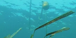 Rando'mer à Collioure