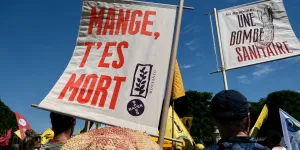 "Sans alternatives durables, ça va mal finir" : quelles pistes scientifiques pour sortir des pesticides ?