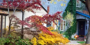 Jardin d’ornement, que faire en automne ?