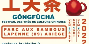 Cadre d'interaction prévenant - Festival GongFuCha