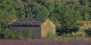 "Ma cabane sans peine" d'Alain Guyard : anarchisme et humour vache au cœur de la campagne française