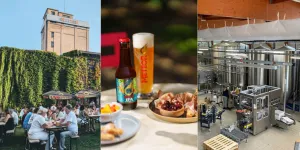 Bières fraîches : ce week-end, 4 brasseries organisent des portes ouvertes en Alsace