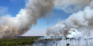 Le rythme de la déforestation de l'Amazonie brésilienne à son plus bas niveau depuis neuf ans