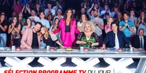 Programme TV : La France a un incroyable talent, Harry Potter et les Reliques de la mort 2… que regarder à la télé ce soir ?