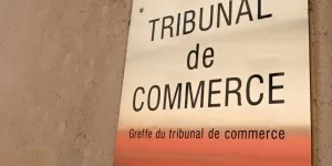 "De tels niveaux de marge n’ont pas de sens" : quand les greffiers des tribunaux de commerce s'en mettent plein les poches