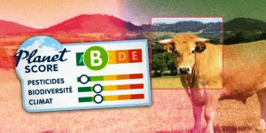 Planet-Score : l’étiquette qui verdit la viande rouge ?