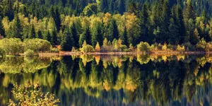 Tourisme : Les montagnes du Jura, un petit air de Canada