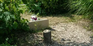 Abattage d'un olivier rendant hommage à Ilan Halimi : deux hommes interpellés