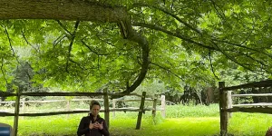 Domaine de Fresnoy - Yoga & Bain de forêt - Atelier bien-être
