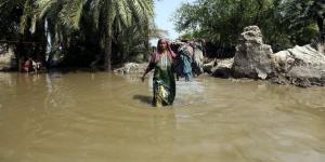 Flooding in Pakistan shows that climate adaptation requires international support and regional co-operation