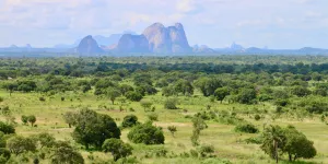 "Desteria et les démineurs", de Nedjma Kacimi : terrain miné au Mozambique