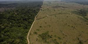 L’Amazonie a-t-elle franchi un point de bascule ?