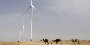 Sahara occidental : le Conseil de sécurité de l'ONU soutient le plan d'autonomie marocain