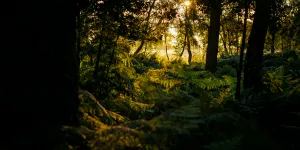 Auguste Ferrey : "La littérature peut faire oublier un temps qu’on vit reclus mais seulement si c'est un choix"