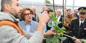"On attend les actes" : la filière bio du Grand Est prudente après la visite de la ministre de l'Agriculture en Moselle