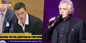 "J’ai envie de violer des femmes" : AD Laurent cite Michel Sardou à l’Assemblée nationale, en pleine commission TikTok