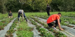 «Ici, les gens nous font confiance» : en Loire-Atlantique, ces détenus purgent la fin de leur peine dans une ferme biologique