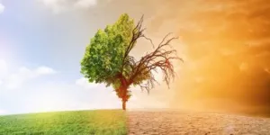 ACCUEIL - Allocation Climat