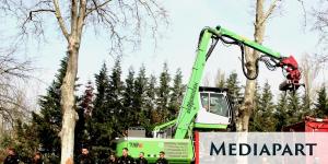 Sur le chantier de l’autoroute Toulouse-Castres, les arbres tombent, la répression aussi