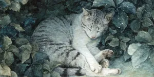 Anaïs Faë | Illustration