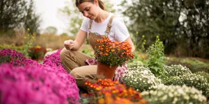 Que faire au jardin en octobre ?