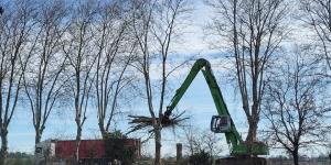 A69 : Les premiers arbres du chantier de l'autoroute Toulouse-Castres abattus