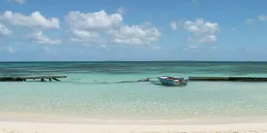 Guadeloupe : les meilleurs hôtels pour un séjour sous le soleil des Caraïbes