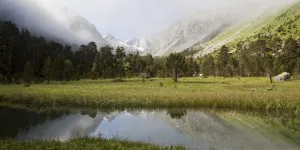 Éoliennes vs. Marcel Proust, élevages intensifs… Ces lois méconnues qui protègent nos paysages