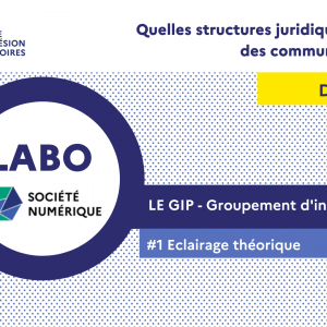 [DOSSIER] Le groupement d’Intérêt Public (GIP) comme structure juridique pour les communs numériques ? #1 Eclairage théorique