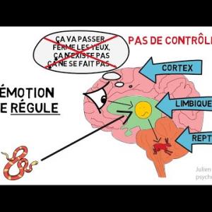 Les  émotions