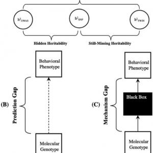 New biological realities in the genetics of education