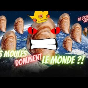 Une écrevisse en PLS, rien n'arrête ces envahisseurs!